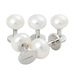 5 White Pearl Dress Studs